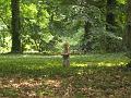 Arboretum 36 - Wojtek w bluszczu